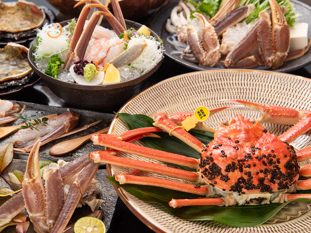 【越前蟹フルコース】600～700gサイズのタグ付越前蟹を食す