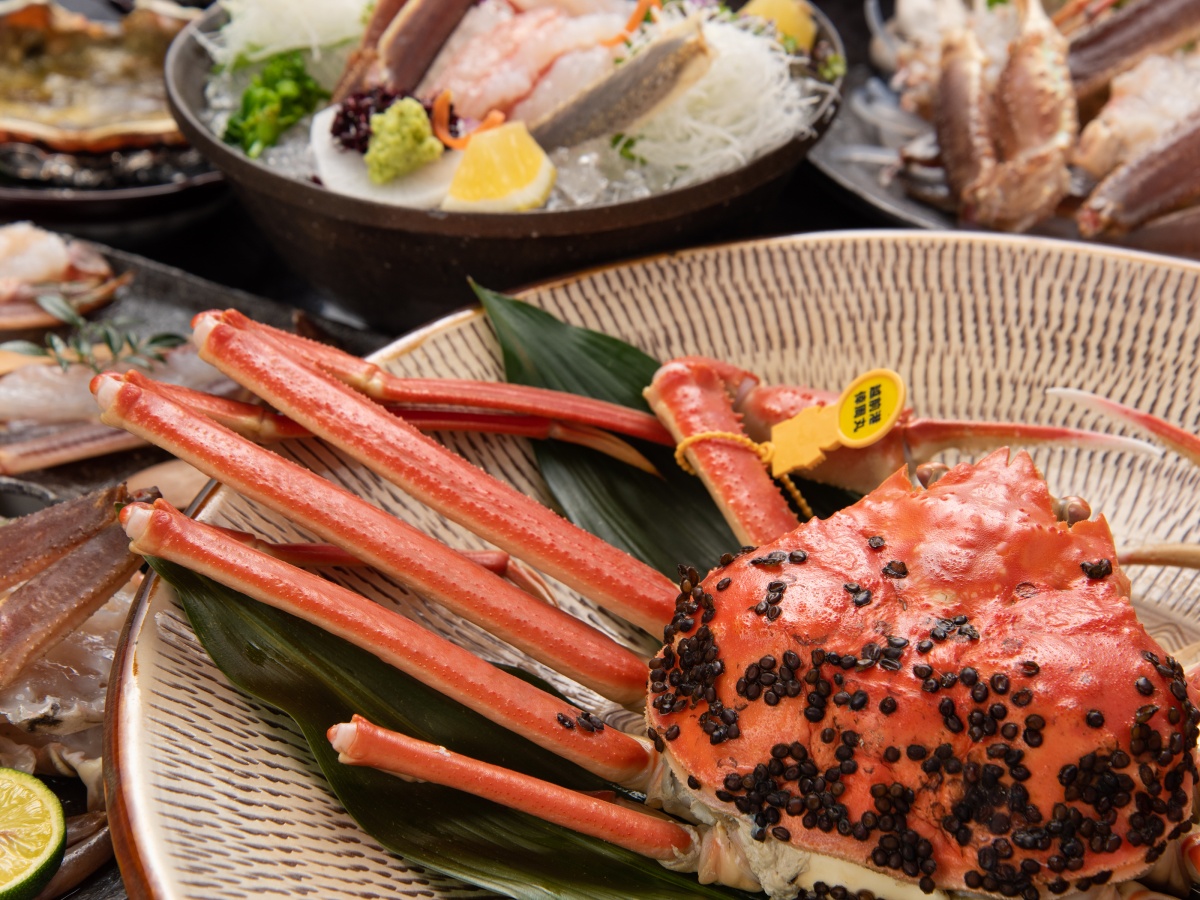 【越前蟹フルコース】600～700gサイズのタグ付越前蟹を